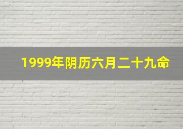 1999年阴历六月二十九命