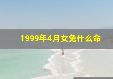 1999年4月女兔什么命