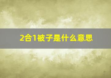 2合1被子是什么意思