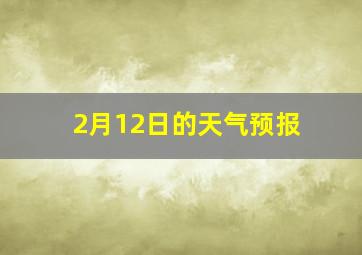 2月12日的天气预报