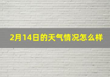 2月14日的天气情况怎么样