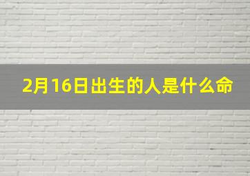 2月16日出生的人是什么命