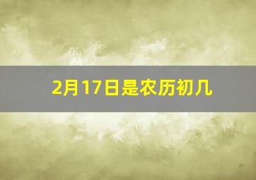 2月17日是农历初几