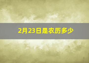 2月23日是农历多少