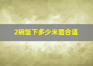 2碗饭下多少米面合适