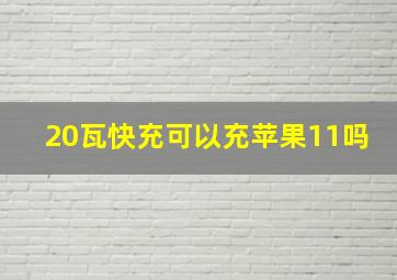 20瓦快充可以充苹果11吗