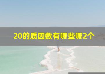 20的质因数有哪些哪2个