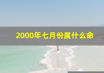 2000年七月份属什么命