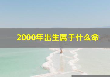 2000年出生属于什么命