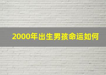 2000年出生男孩命运如何