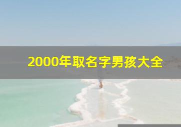 2000年取名字男孩大全