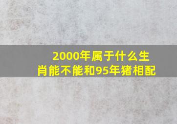 2000年属于什么生肖能不能和95年猪相配