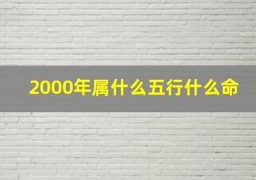 2000年属什么五行什么命