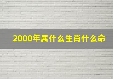 2000年属什么生肖什么命