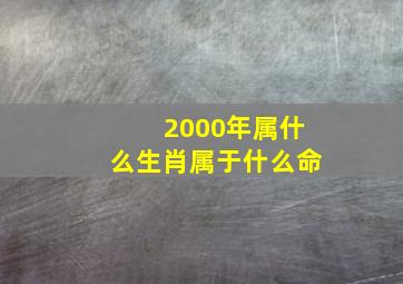 2000年属什么生肖属于什么命