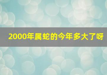 2000年属蛇的今年多大了呀