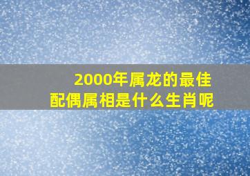 2000年属龙的最佳配偶属相是什么生肖呢