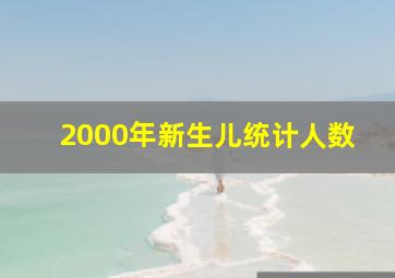 2000年新生儿统计人数