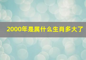 2000年是属什么生肖多大了