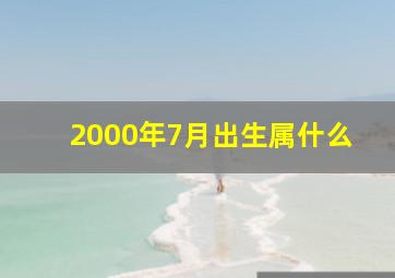 2000年7月出生属什么