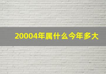 20004年属什么今年多大