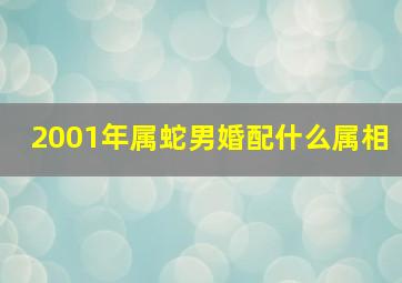 2001年属蛇男婚配什么属相