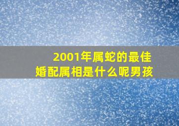 2001年属蛇的最佳婚配属相是什么呢男孩