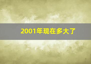 2001年现在多大了