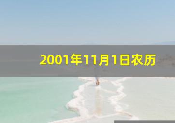 2001年11月1日农历