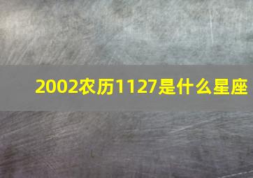 2002农历1127是什么星座