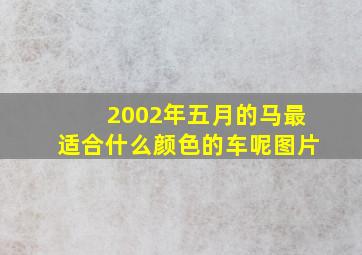 2002年五月的马最适合什么颜色的车呢图片