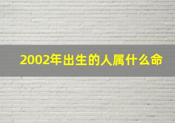 2002年出生的人属什么命