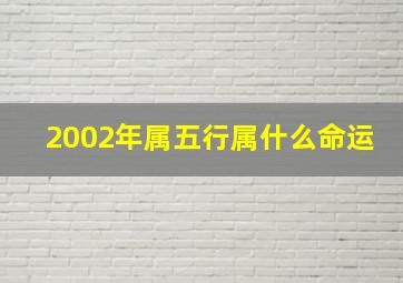 2002年属五行属什么命运