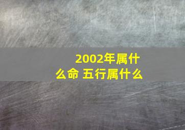 2002年属什么命 五行属什么