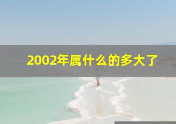 2002年属什么的多大了