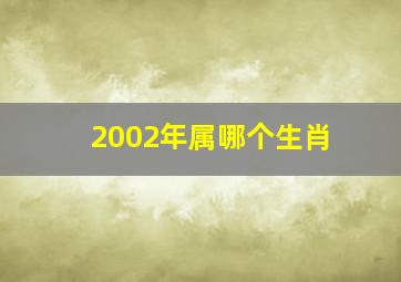 2002年属哪个生肖