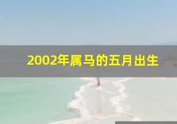 2002年属马的五月出生