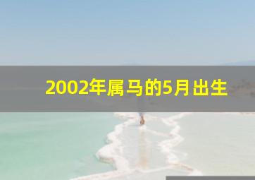 2002年属马的5月出生