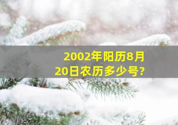 2002年阳历8月20日农历多少号?