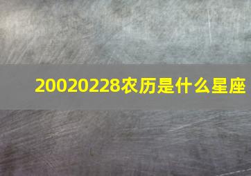 20020228农历是什么星座