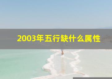 2003年五行缺什么属性