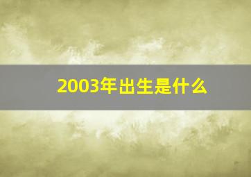 2003年出生是什么