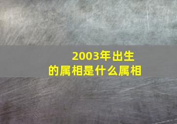 2003年出生的属相是什么属相