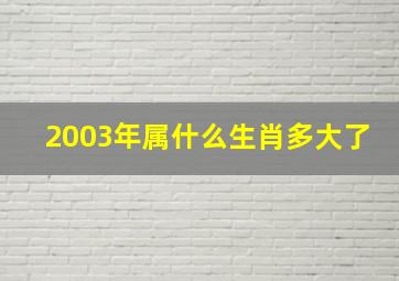 2003年属什么生肖多大了