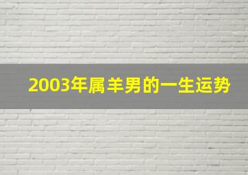 2003年属羊男的一生运势