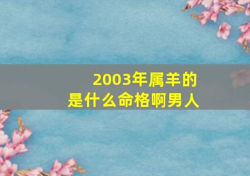 2003年属羊的是什么命格啊男人