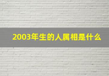 2003年生的人属相是什么