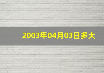 2003年04月03日多大