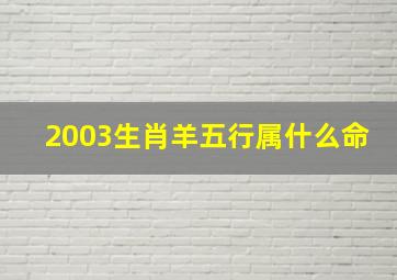 2003生肖羊五行属什么命