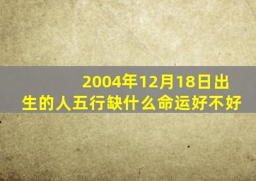 2004年12月18日出生的人五行缺什么命运好不好